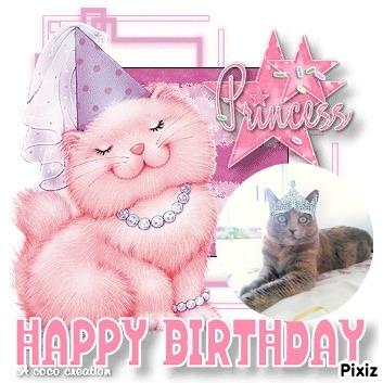 Tata of the gatosnarrenses family