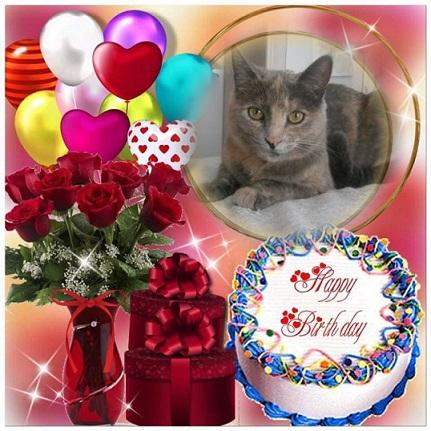 Tata of the gatosnarrenses family