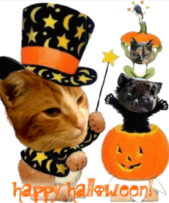 Neska of the gatosnarrenses family