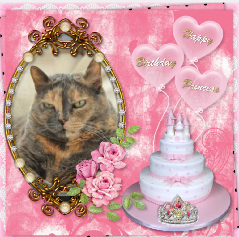 Neska of the gatosnarrenses family