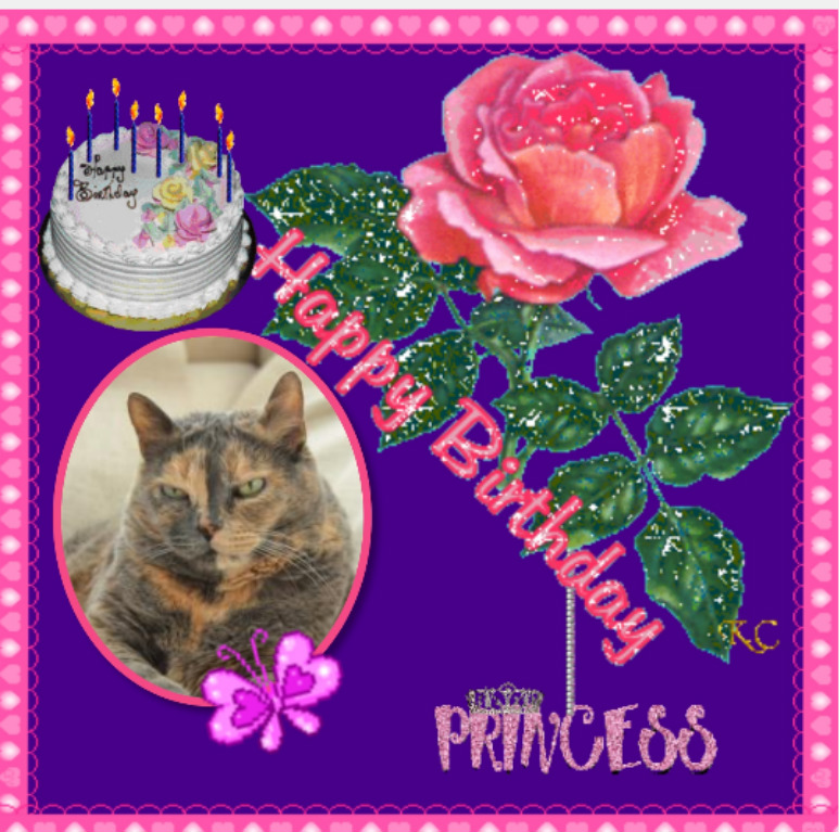 Neska of the gatosnarrenses family