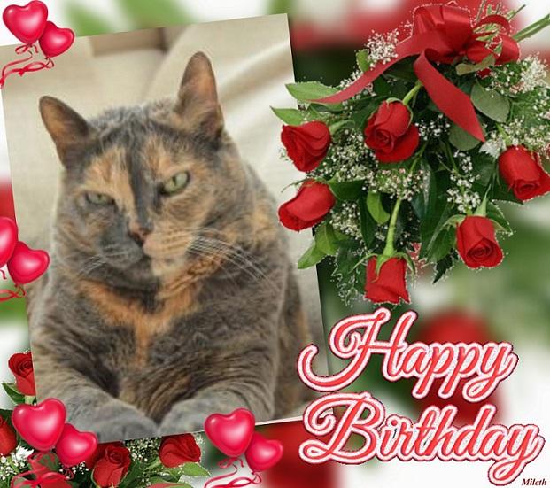 Neska of the gatosnarrenses family