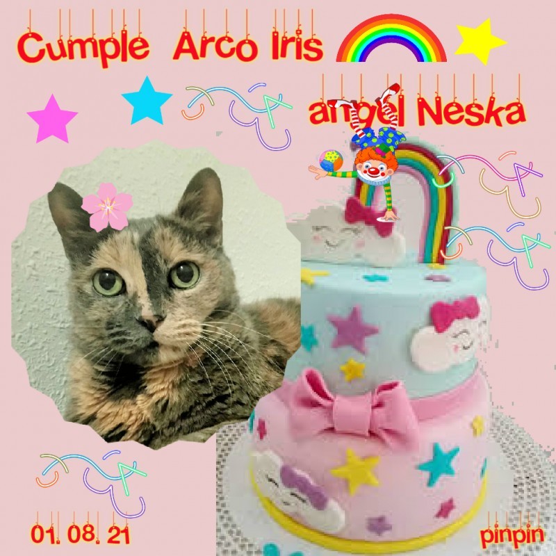 Neska of the gatosnarrenses family