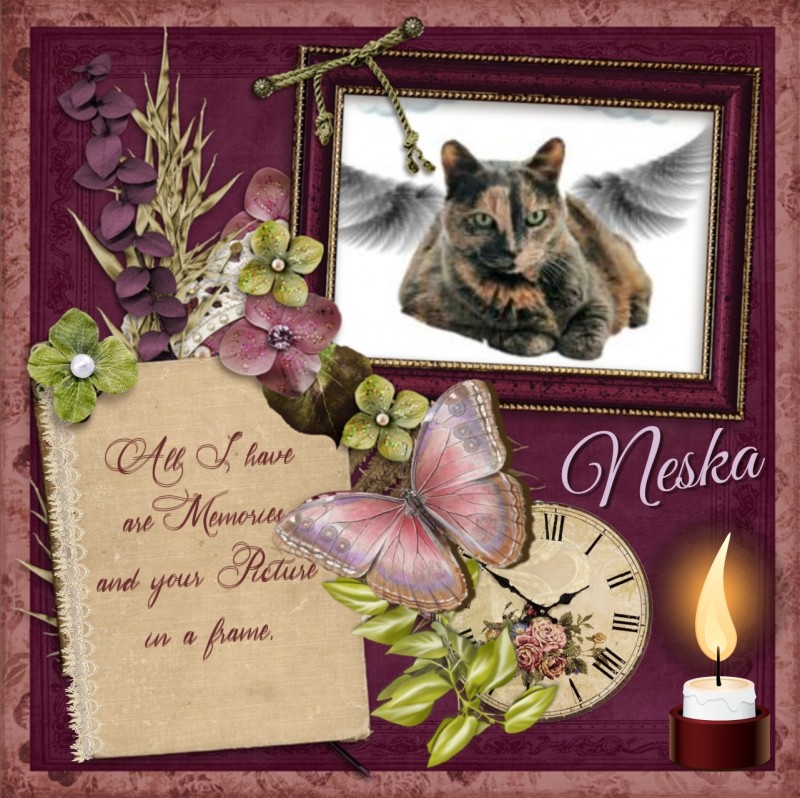 Neska of the gatosnarrenses family