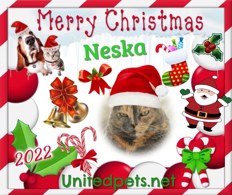 Neska of the gatosnarrenses family