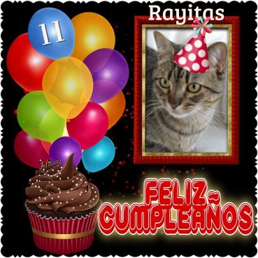 Rayitas of the gatosnarrenses family