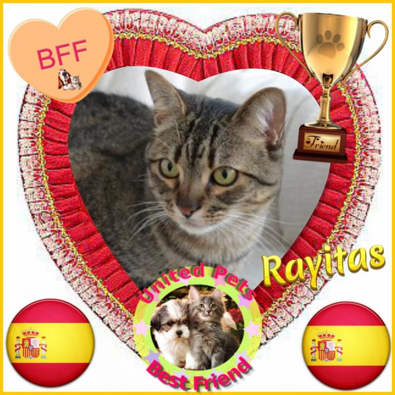 Rayitas of the gatosnarrenses family