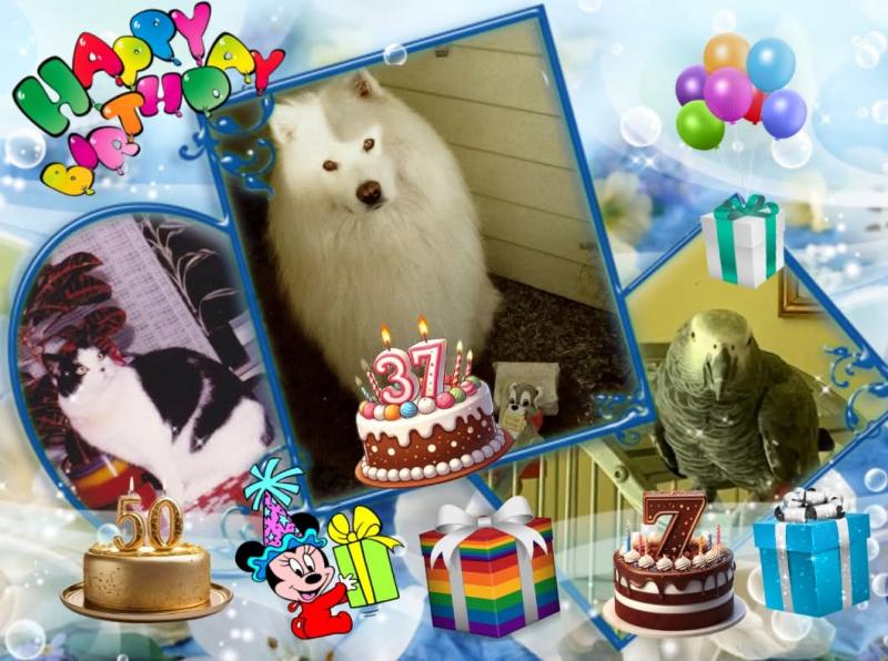 Miesje of the ladybelle family