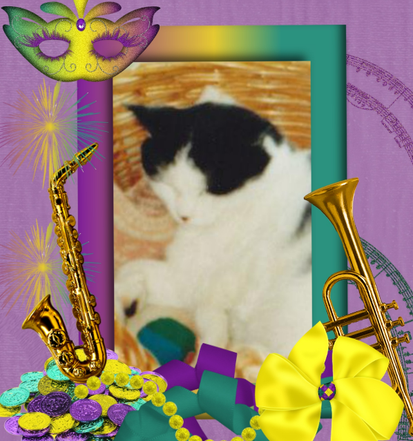 Miesje of the ladybelle family