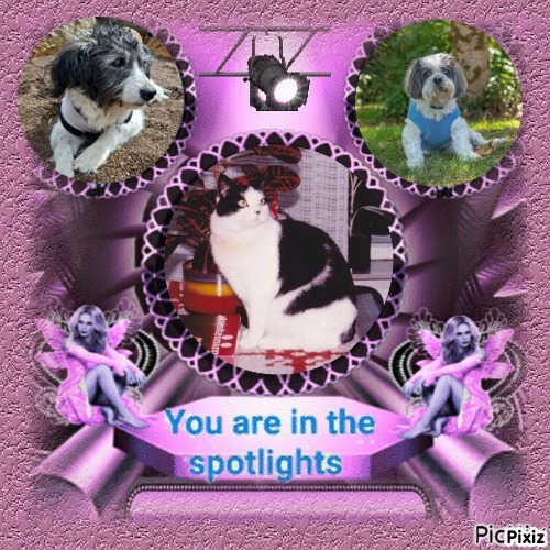 Miesje of the ladybelle family