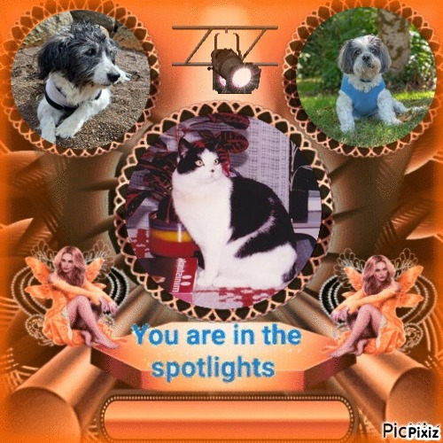 Miesje of the ladybelle family