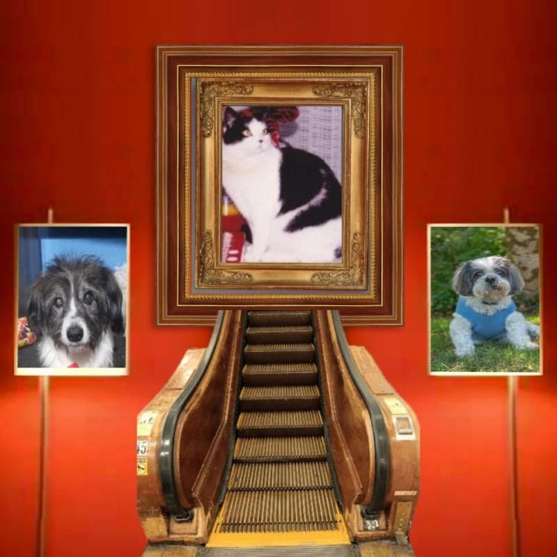 Miesje of the ladybelle family