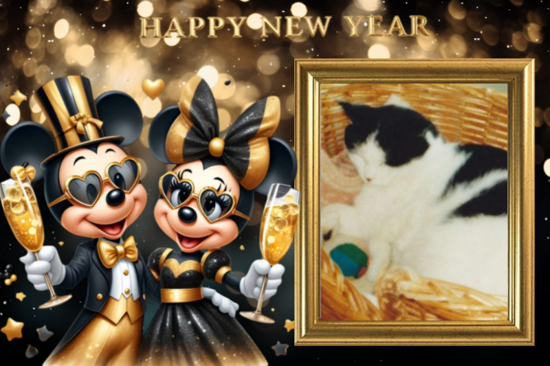 Miesje of the ladybelle family