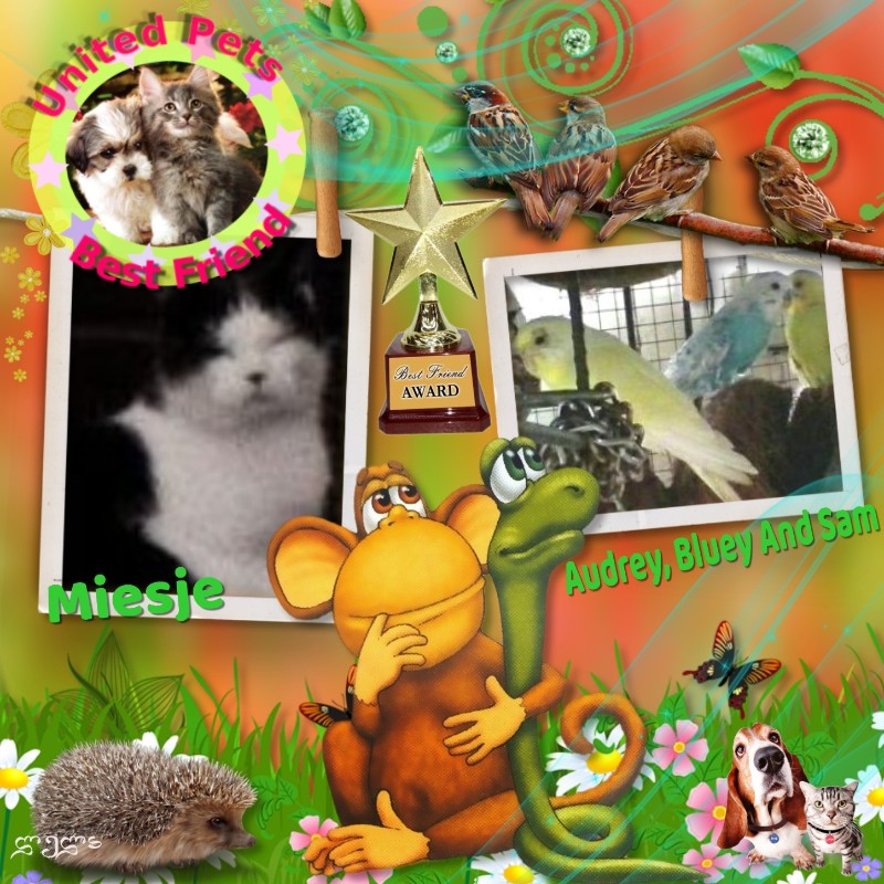 Miesje of the ladybelle family