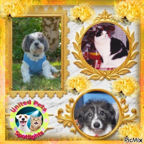 Miesje of the ladybelle family