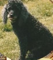 ladybelle uploaded   301  day/s  ago