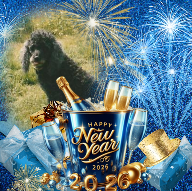 Blackie of the ladybelle family