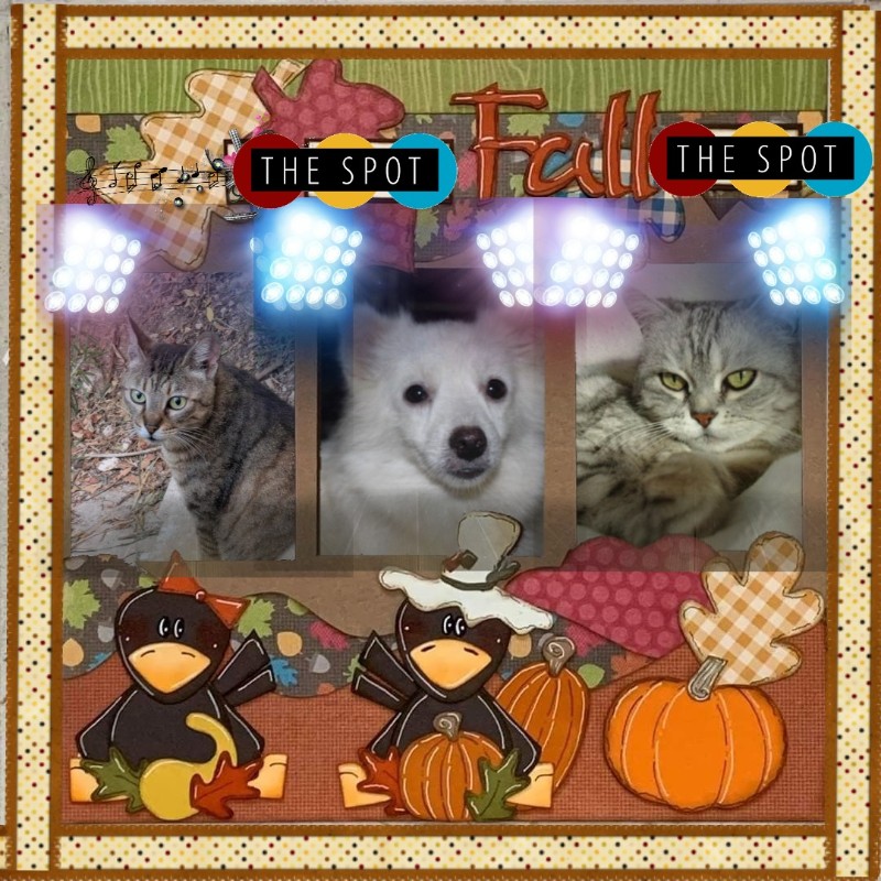 Belle of the ladybelle family