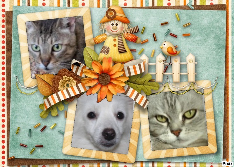 Belle of the ladybelle family