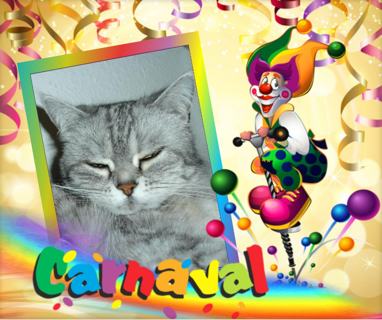 Belle of the ladybelle family