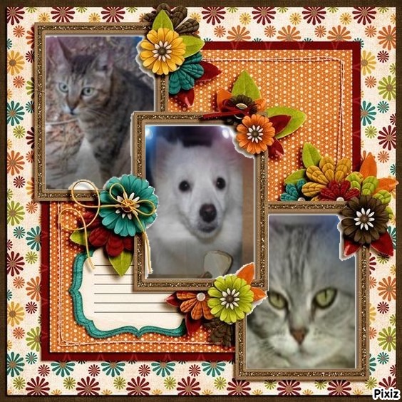 Belle of the ladybelle family