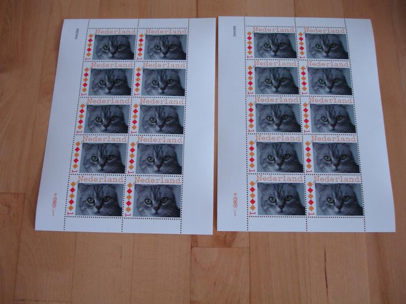 ladybelle uploaded   1 year/s ago