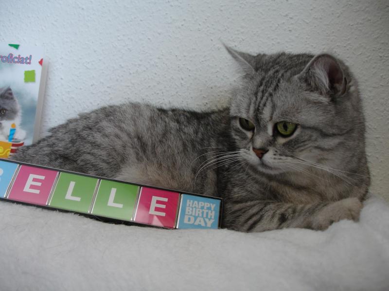 ladybelle uploaded   1 year/s ago