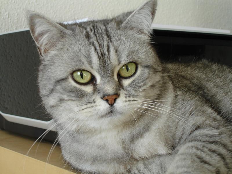 ladybelle uploaded   1 year/s ago