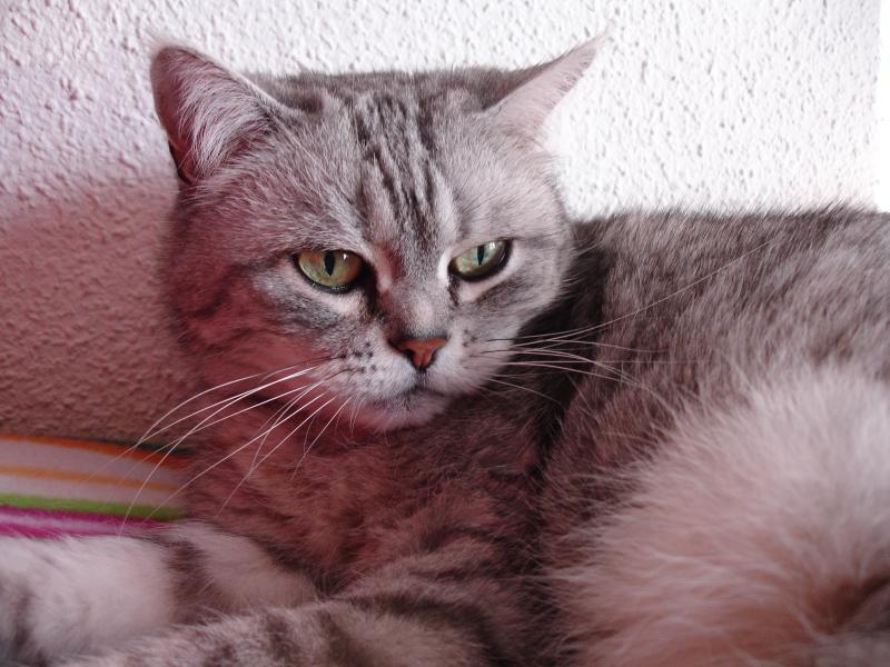 ladybelle uploaded   1 year/s ago