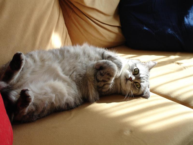 ladybelle uploaded   1 year/s ago