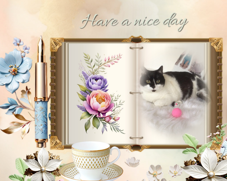 ladybelle uploaded   2 year/s ago