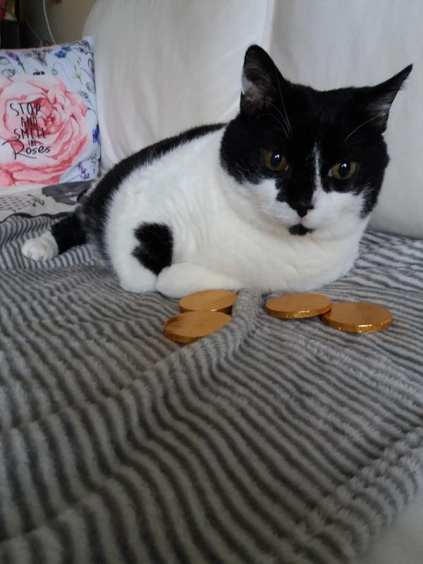 ladybelle uploaded   1 year/s ago