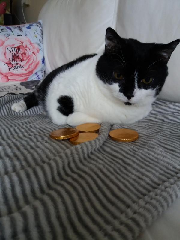 ladybelle uploaded   1 year/s ago