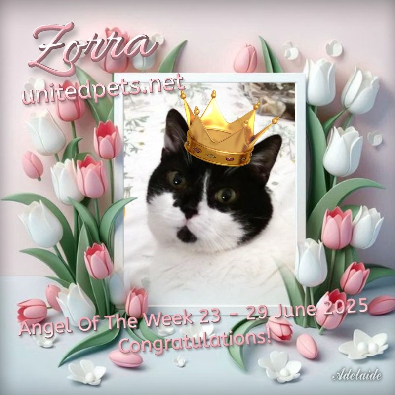 ladybelle uploaded   323  day/s  ago