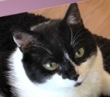 ladybelle uploaded   303  day/s  ago