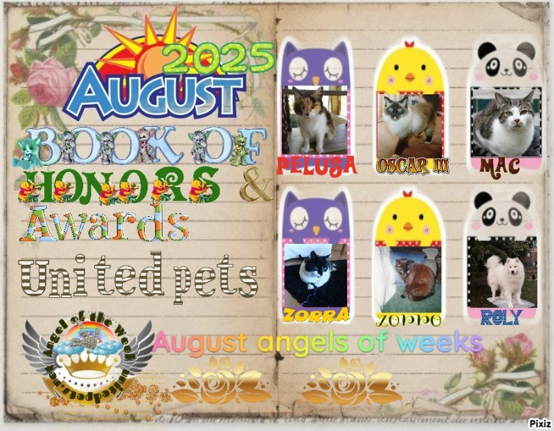 Zorra of the ladybelle family