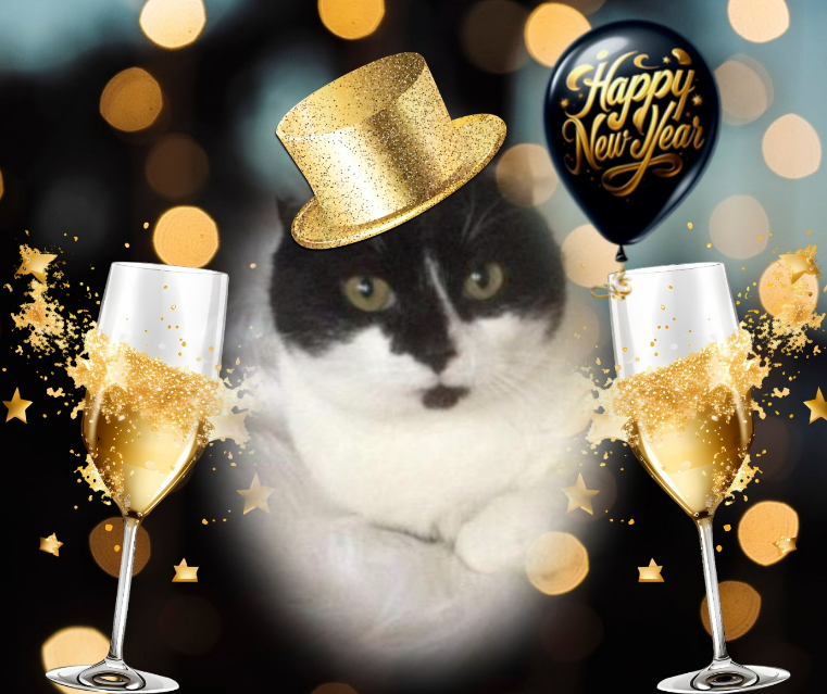 Zorra of the ladybelle family