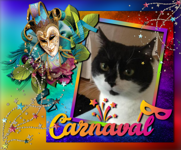 ladybelle uploaded   96  day/s  ago