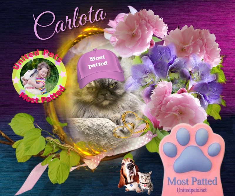 Carlota of the luzcas1106 family