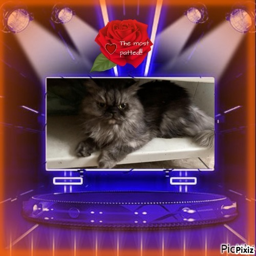 Carlota of the luzcas1106 family