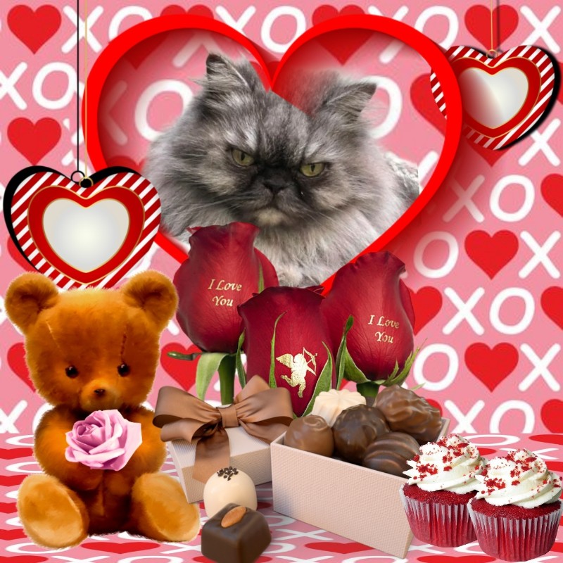 Carlota of the luzcas1106 family