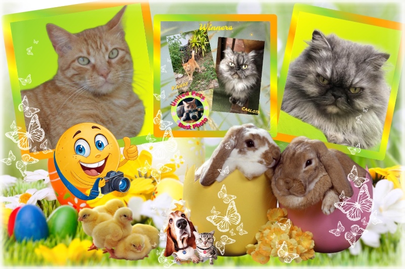 Carlota of the luzcas1106 family