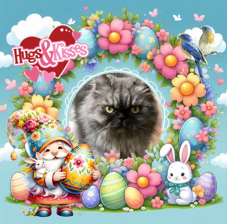 Carlota of the luzcas1106 family