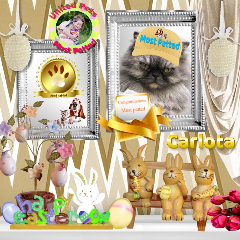 Carlota of the luzcas1106 family