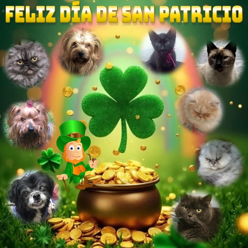 luzcas1106 uploaded   12  day/s  ago