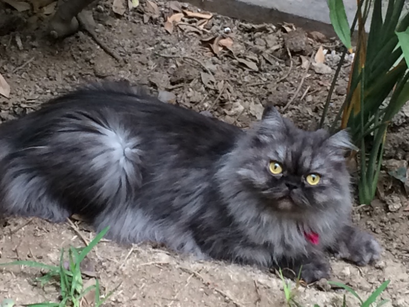 luzcas1106 uploaded   5 year/s ago