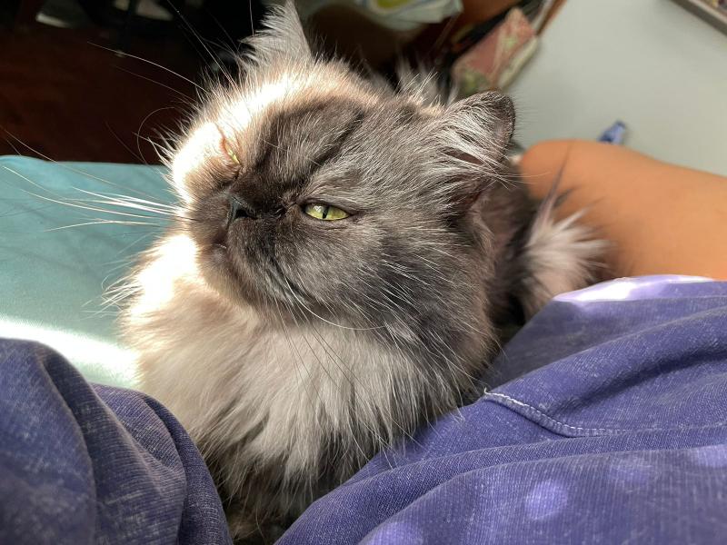 luzcas1106 uploaded   1 year/s ago