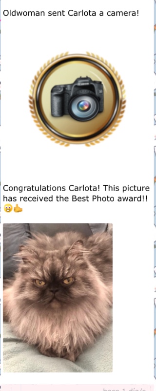 luzcas1106 uploaded   340  day/s  ago