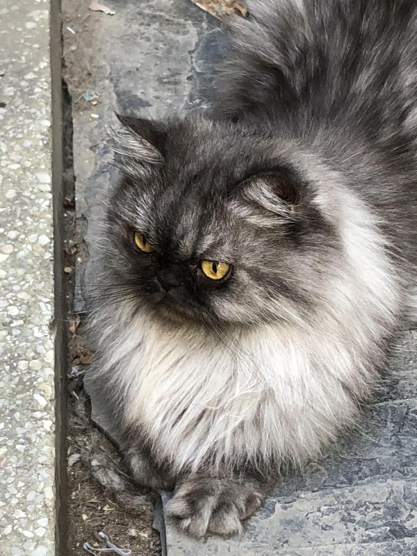 luzcas1106 uploaded   1 year/s ago