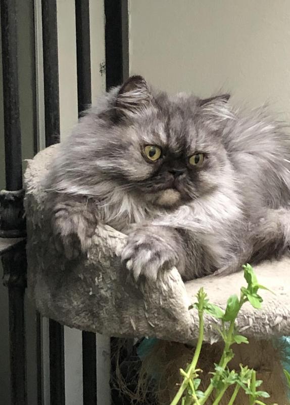 luzcas1106 uploaded   1 year/s ago